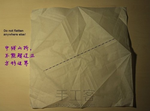 玫瑰 第28步