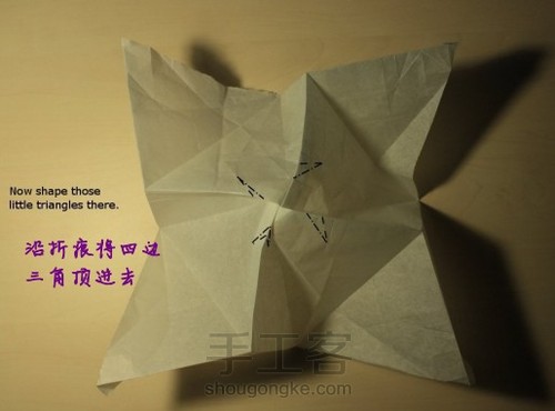 玫瑰 第40步