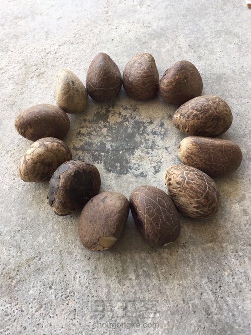 象牙果——圆珠手串
没有买卖，没有杀害 第1步