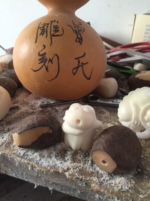 象牙果纯手工精雕——多瓣金刚 第1步