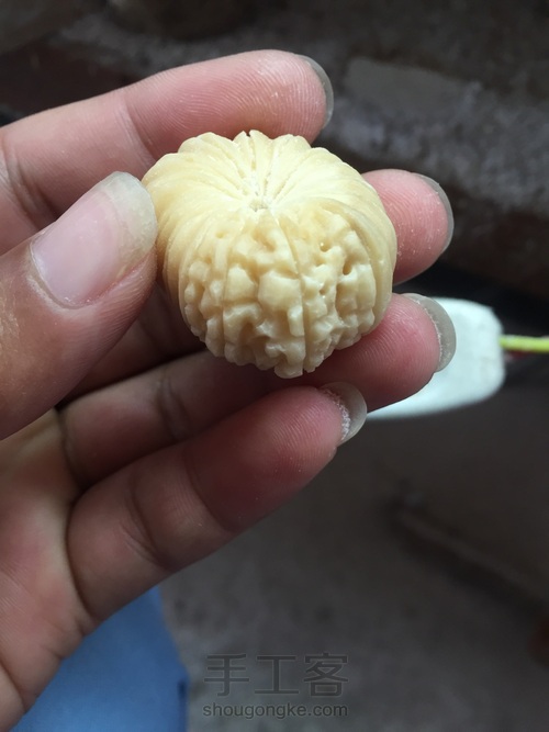 象牙果纯手工精雕——多瓣金刚 第20步