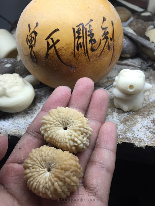 象牙果纯手工精雕——多瓣金刚 第24步
