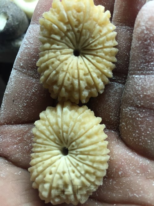 象牙果纯手工精雕——多瓣金刚 第30步