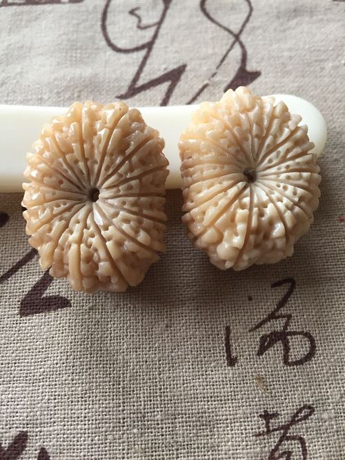 象牙果纯手工精雕——多瓣金刚 第41步