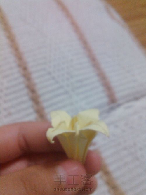 小小百合 第32步