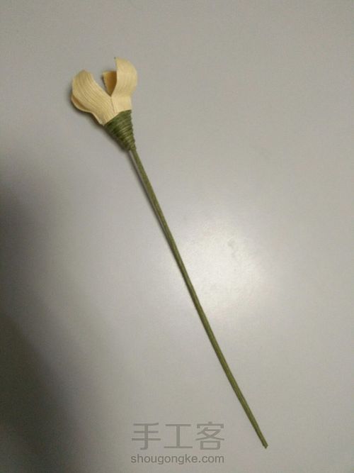 香器~~~莲花灯 第4步