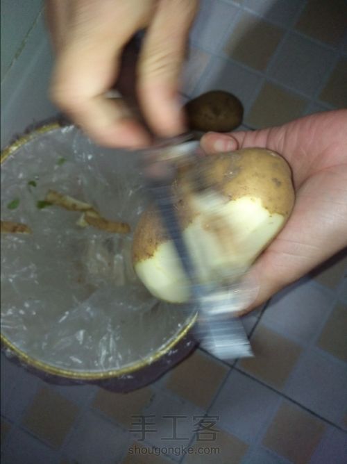 天蚕土豆 第1步