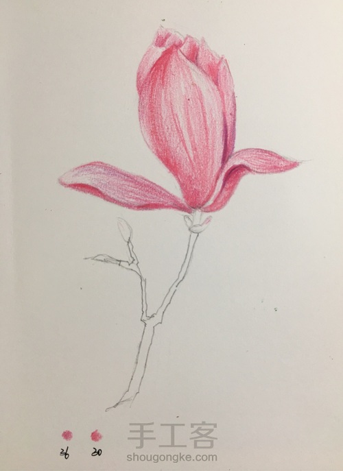 木兰花 第4步