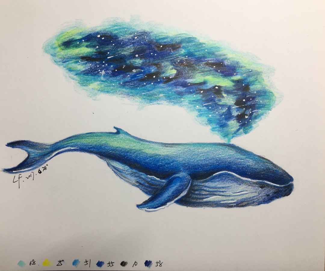 彩铅画·鲸鱼
