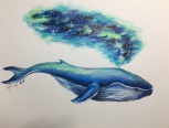 彩铅画·鲸鱼