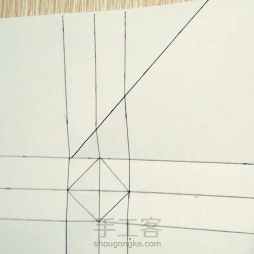 玫瑰------爱与美的化身 第10步