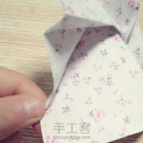 玫瑰------爱与美的化身 第21步