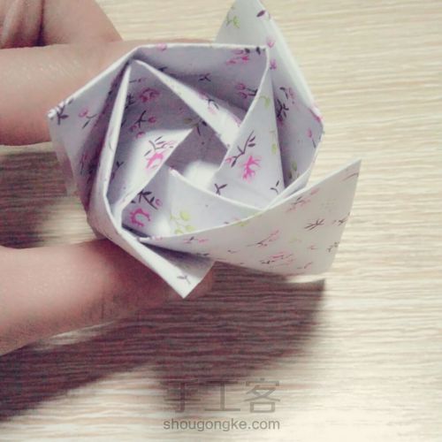 玫瑰------爱与美的化身 第22步