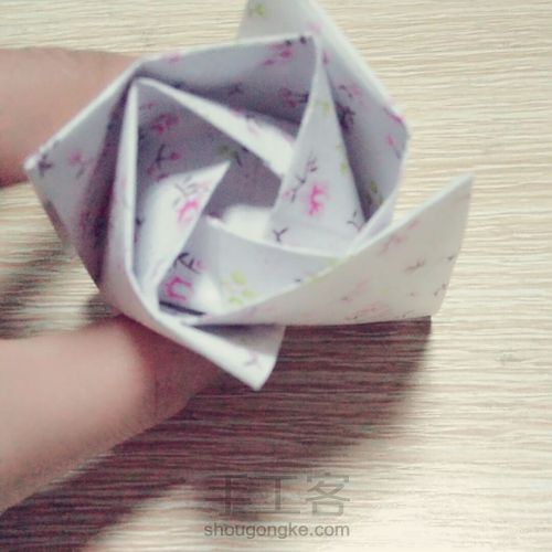 玫瑰------爱与美的化身 第23步