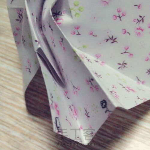 玫瑰------爱与美的化身 第25步