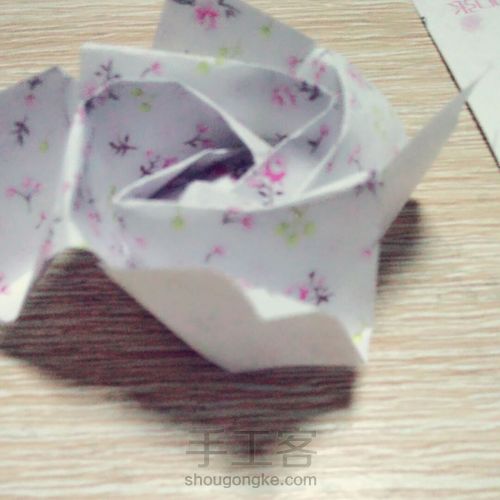 玫瑰------爱与美的化身 第26步