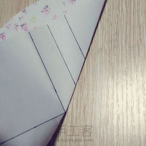 玫瑰------爱与美的化身 第9步