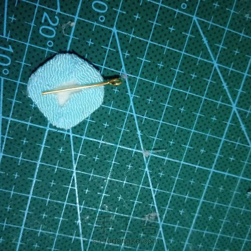 送你一对格桑花 第13步