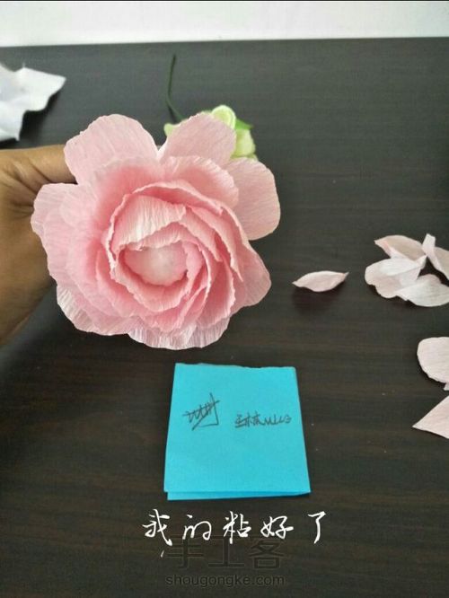 牡丹?不，我也不知道这是什么花，你们认为呢？ 第15步