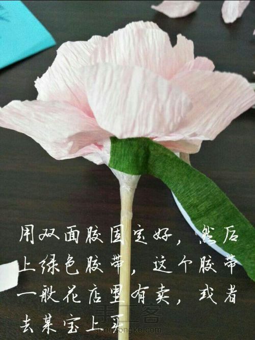 牡丹?不，我也不知道这是什么花，你们认为呢？ 第16步