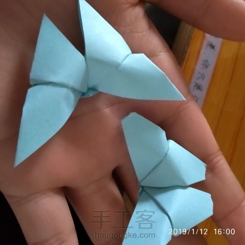 蝴蝶(简易) 第11步