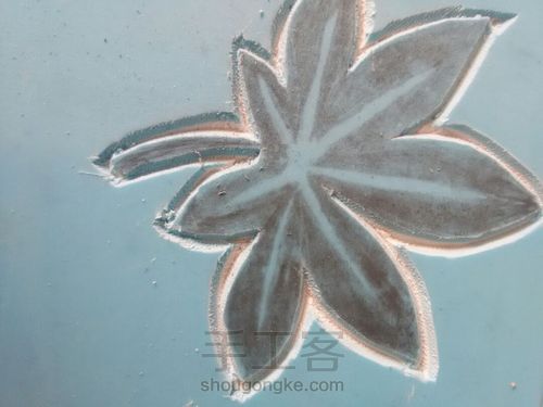 新手专用 第6步