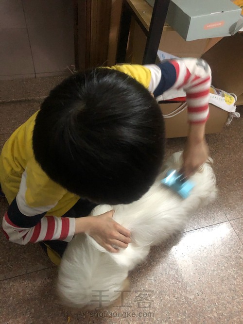 (原创)薅狗毛,送给狗一只小兔子 第1步