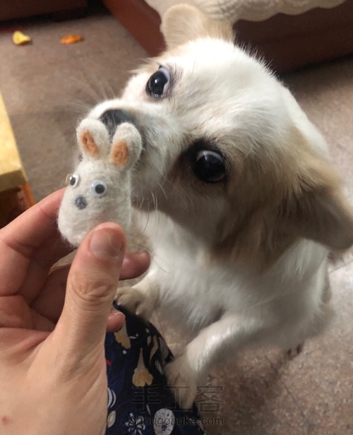 (原创)薅狗毛,送给狗一只小兔子 第9步