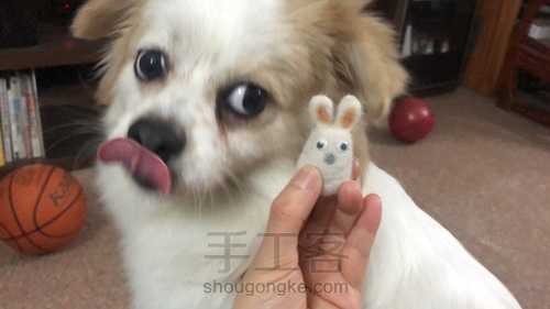 (原创)薅狗毛,送给狗一只小兔子 第10步