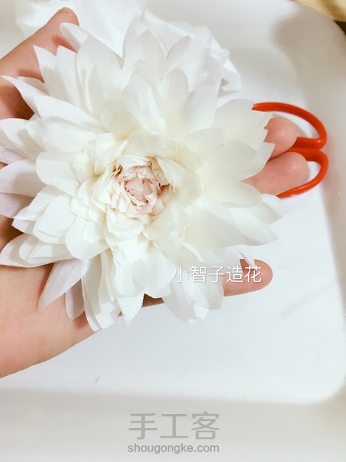 热情奔放的大丽花（烫花） 第6步
