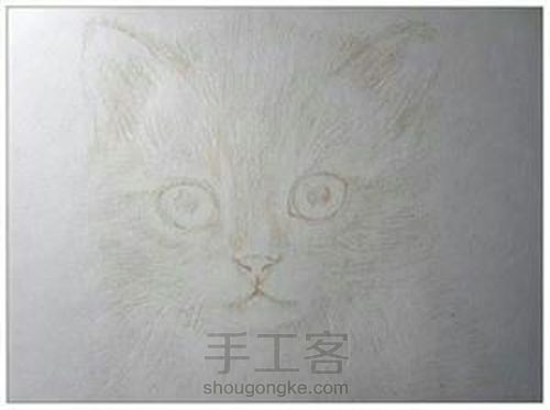 猫转 第2步