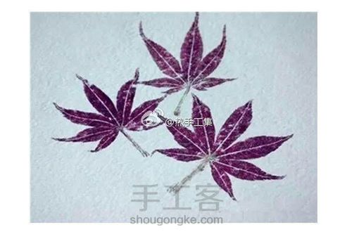 植物拓印超详细教程（转） 第1步