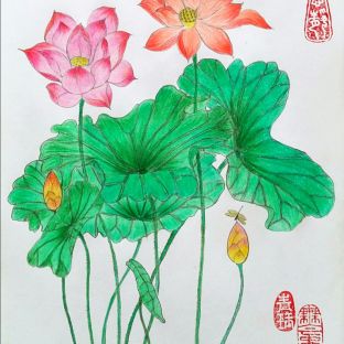 中国风铅笔彩绘荷花