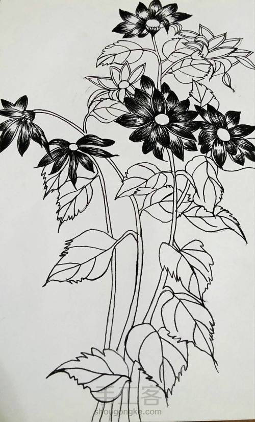 钢笔手绘花朵 第7步