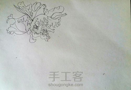 牡丹彩绘图 第2步