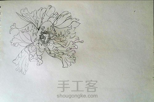 牡丹彩绘图 第3步