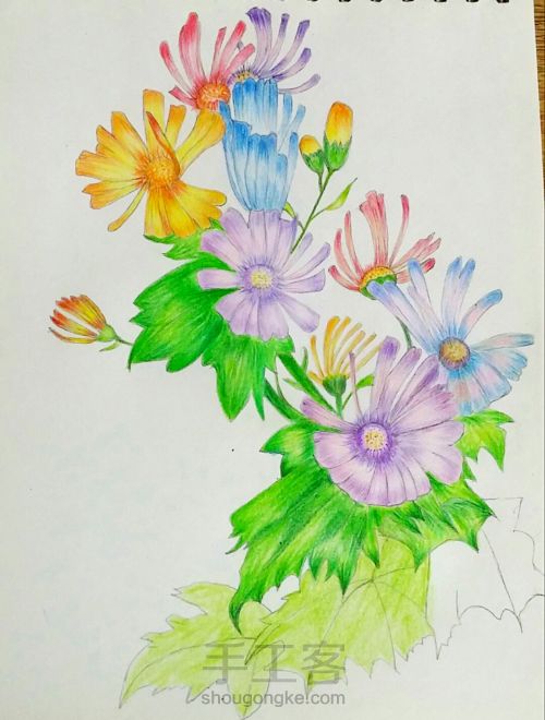 彩铅手绘花朵 第10步