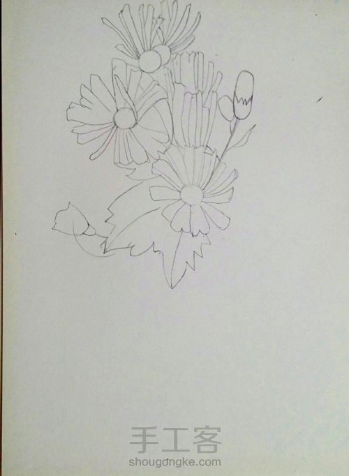 彩铅手绘花朵 第2步