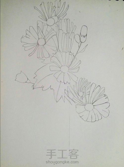 彩铅手绘花朵 第3步