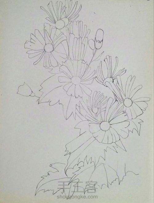 彩铅手绘花朵 第4步