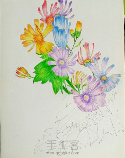 彩铅手绘花朵 第9步