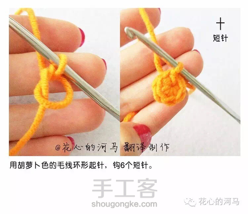 胡萝卜图解（转发） 第1步