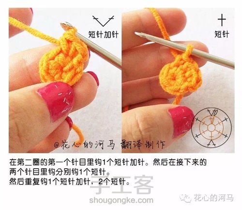 胡萝卜图解（转发） 第2步