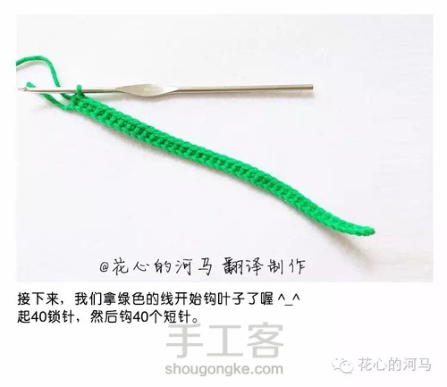 胡萝卜图解（转发） 第6步