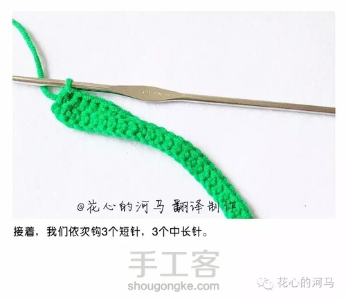 胡萝卜图解（转发） 第11步