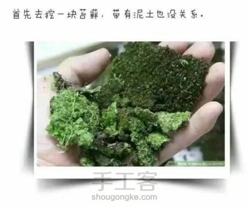 苔鲜装饰物【转】 第1步