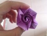 跟我学紫色玫瑰花吧，要交作业啊！