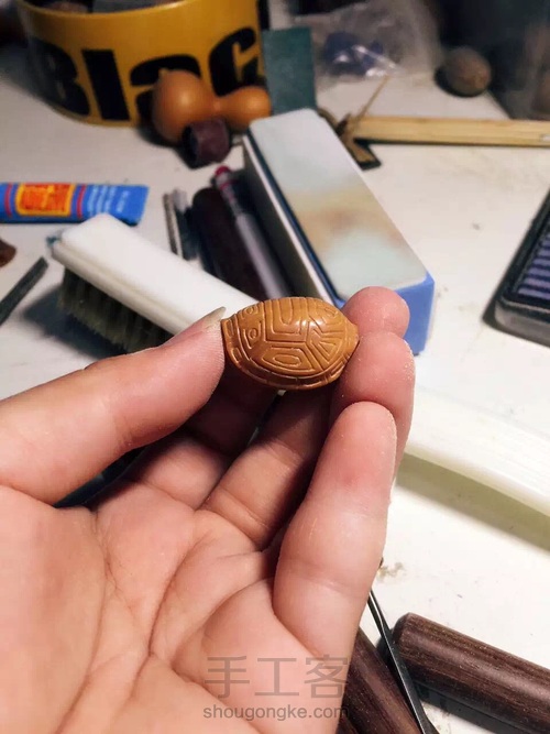 橄榄核富甲天下 第9步