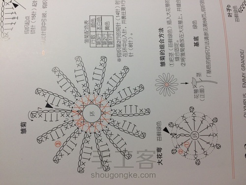 小雏菊的钩法 第1步