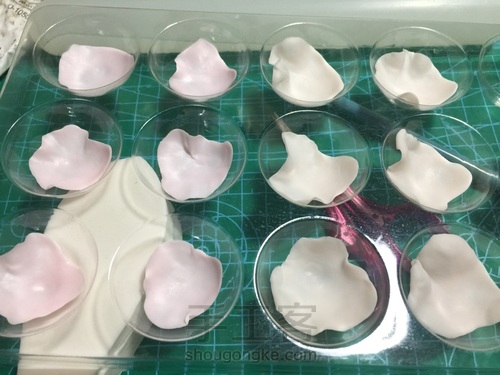 花花世界~终于拍全了步骤 第3步